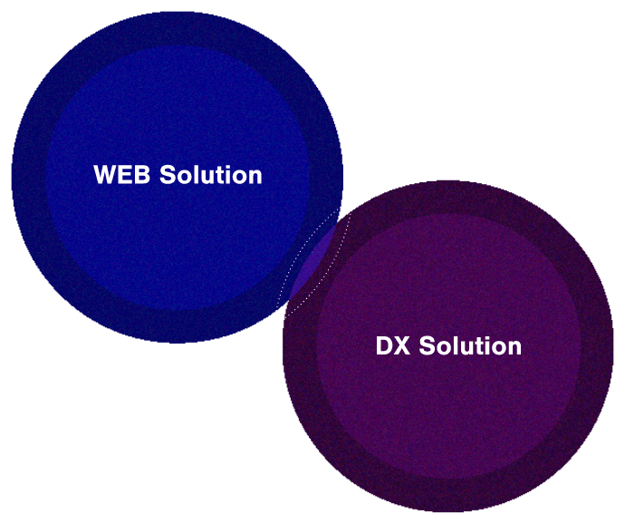 WEB Solution DX Solution