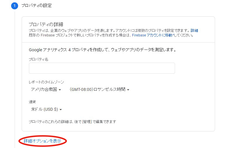 「プロパティの設定」で「詳細オプションを表示」を選択